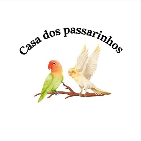 Casa Dos Passarinho'S , Lagos Zewnętrze zdjęcie