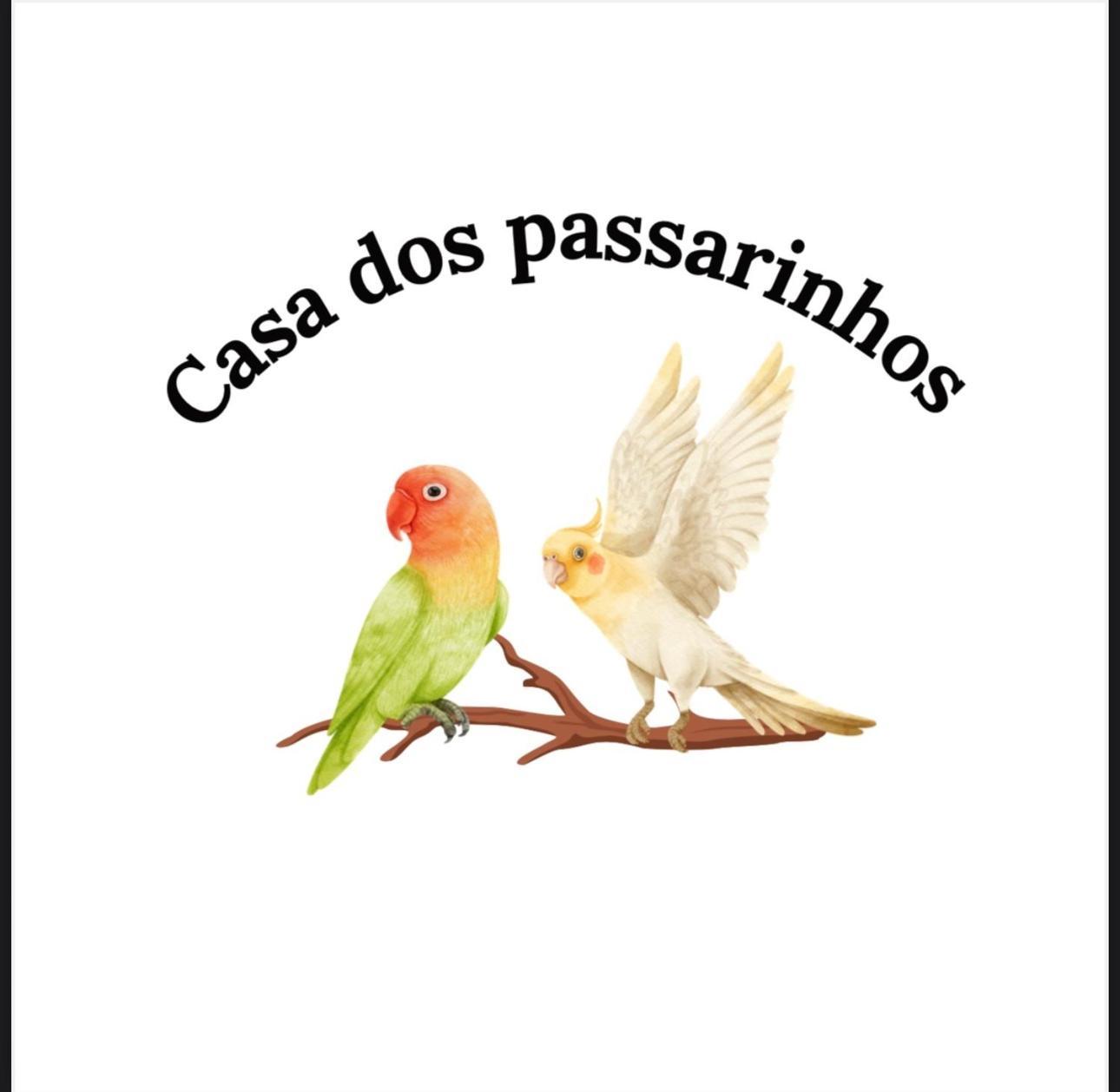 Casa Dos Passarinho'S , Lagos Zewnętrze zdjęcie